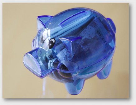 Lauftreffschwein nach der ersten Fütterung 20101121_LTFN_LauftreffSchwein_2