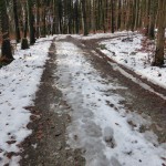 2015-01-04 Gehrenberg Testlauf 033