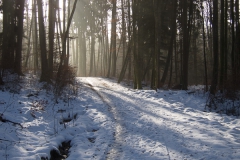 06.01.2015 24. Dreikönigstreff