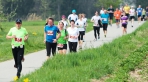 1034025_1_adGallery_LA_Halbmara_Fiba_12Apr2014w_49715