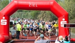 1034051_1_adGallery_LA_Halbmara_Fiba_12Apr2014w_49741