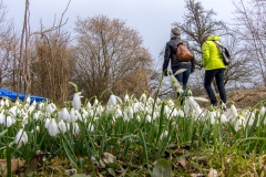 15.3.2015 9. Bockbierlauf, Wittenhofen