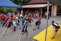 01.07.2011 Salem Mittelstenweiler - 11. Wielemer Viertele