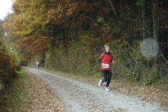 13.11.2011 33. Immenstaader Herbstwaldlauf (Karl Sprinz)